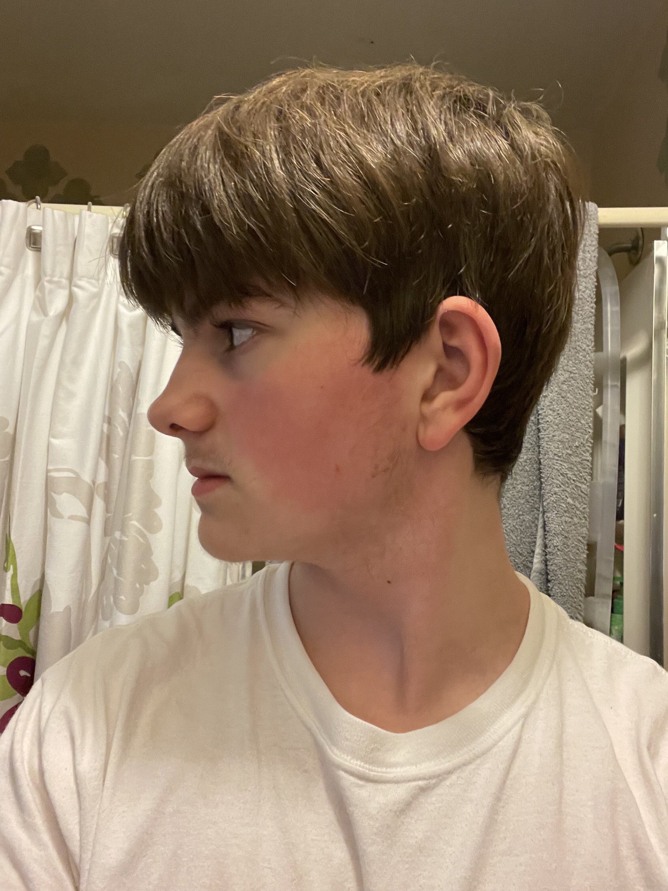 IMG 1566