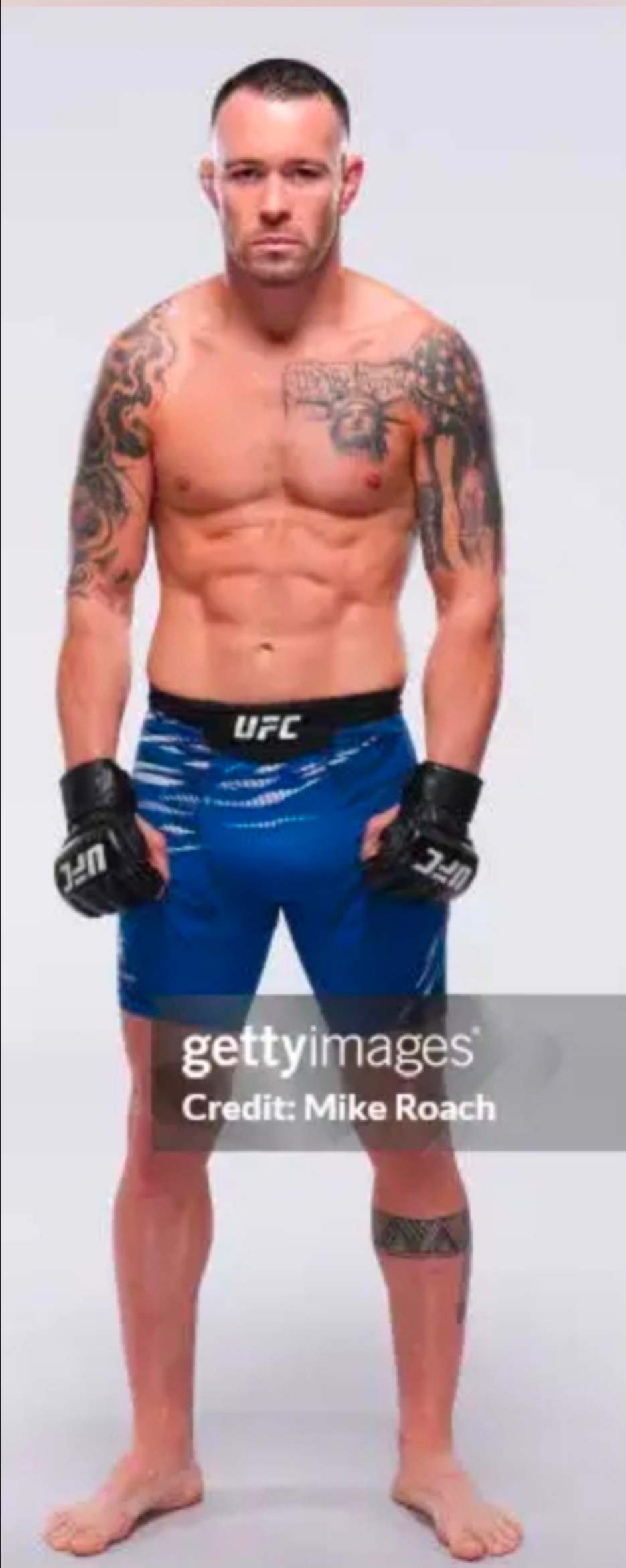 Screenshot 20260602 094228 Gallery