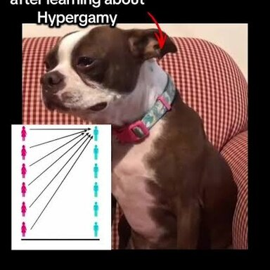 1780718889919
