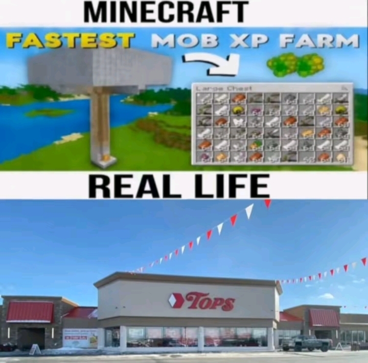 1000041241