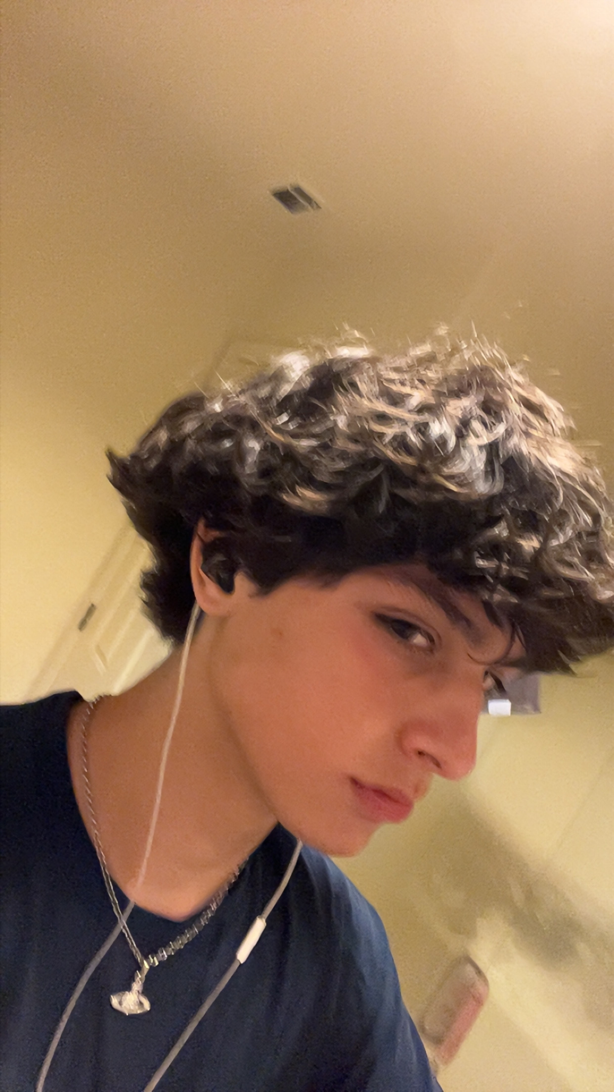 IMG 1941