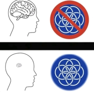 1000041493