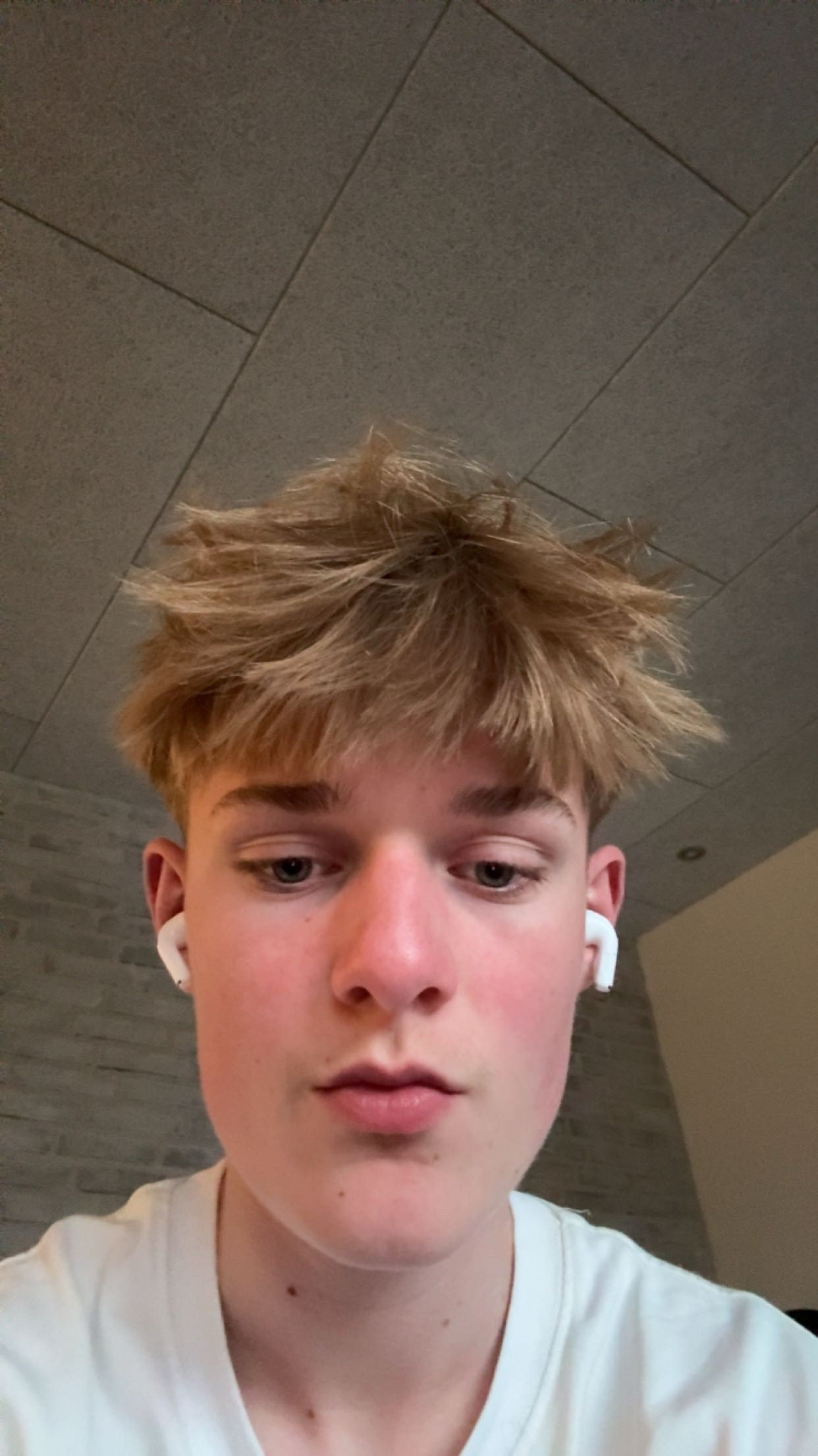 IMG 0229
