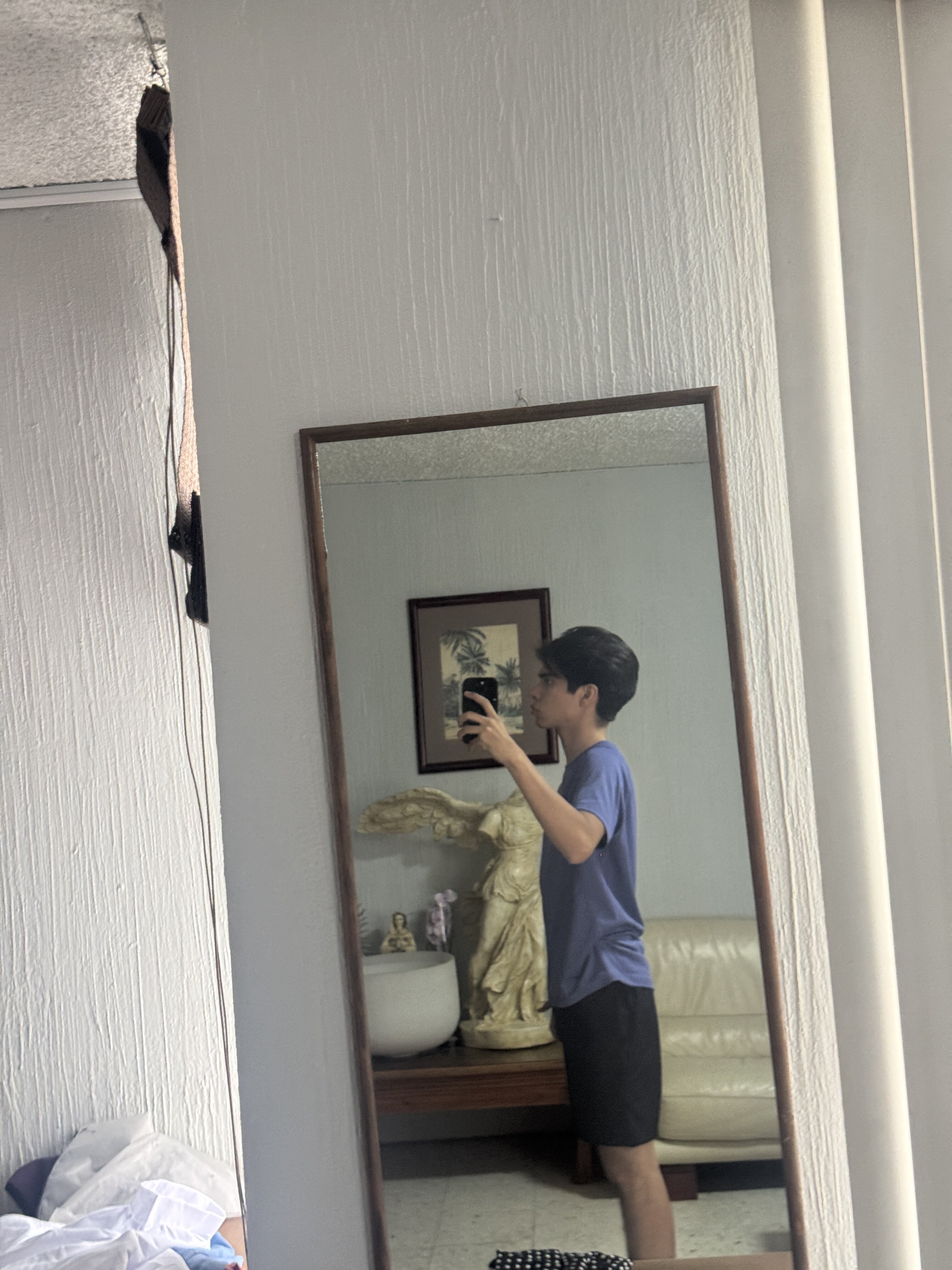 IMG 2739