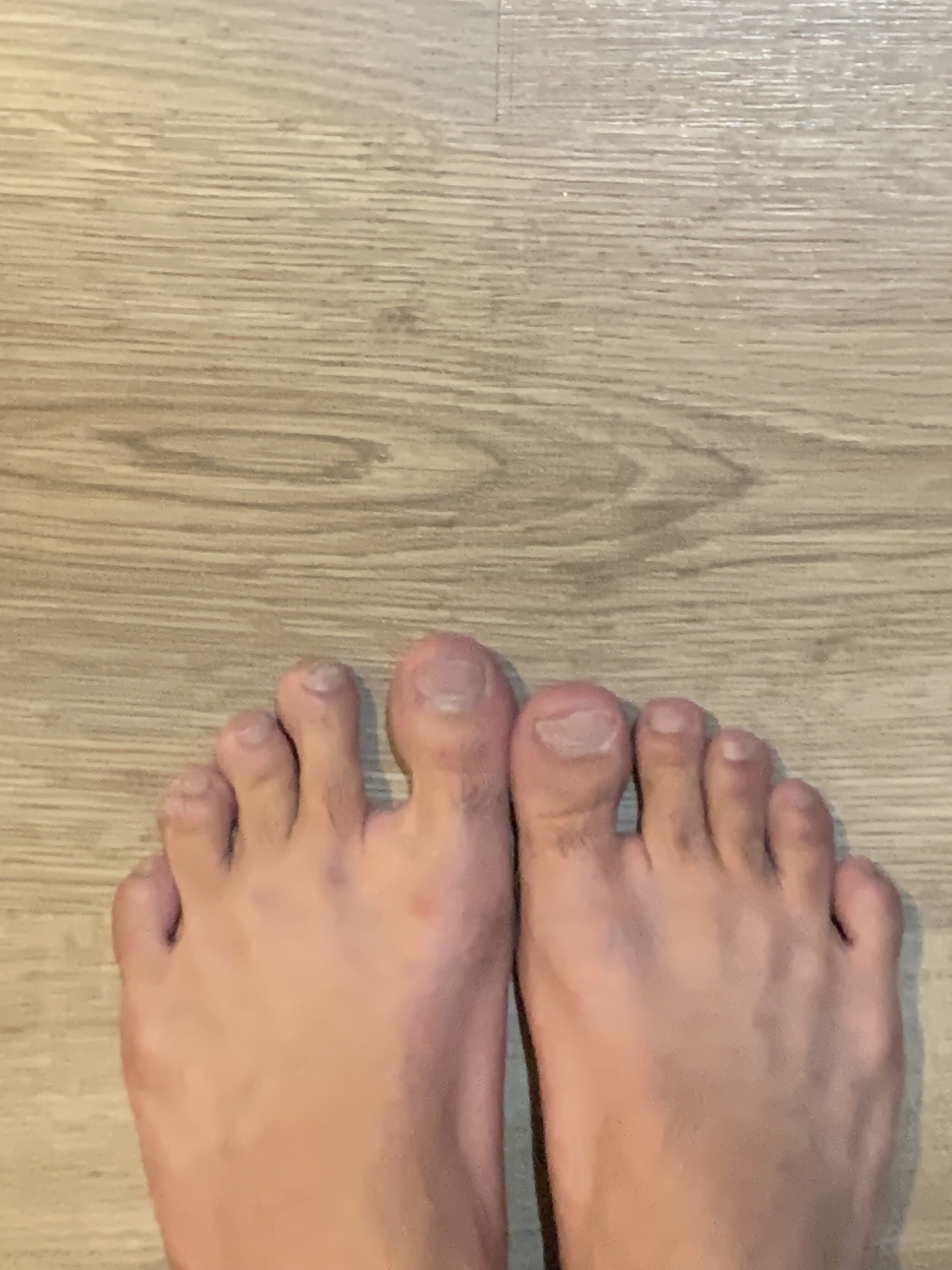 IMG 1853