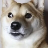 6402785 1780733973673
