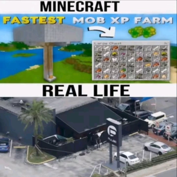 1000041244