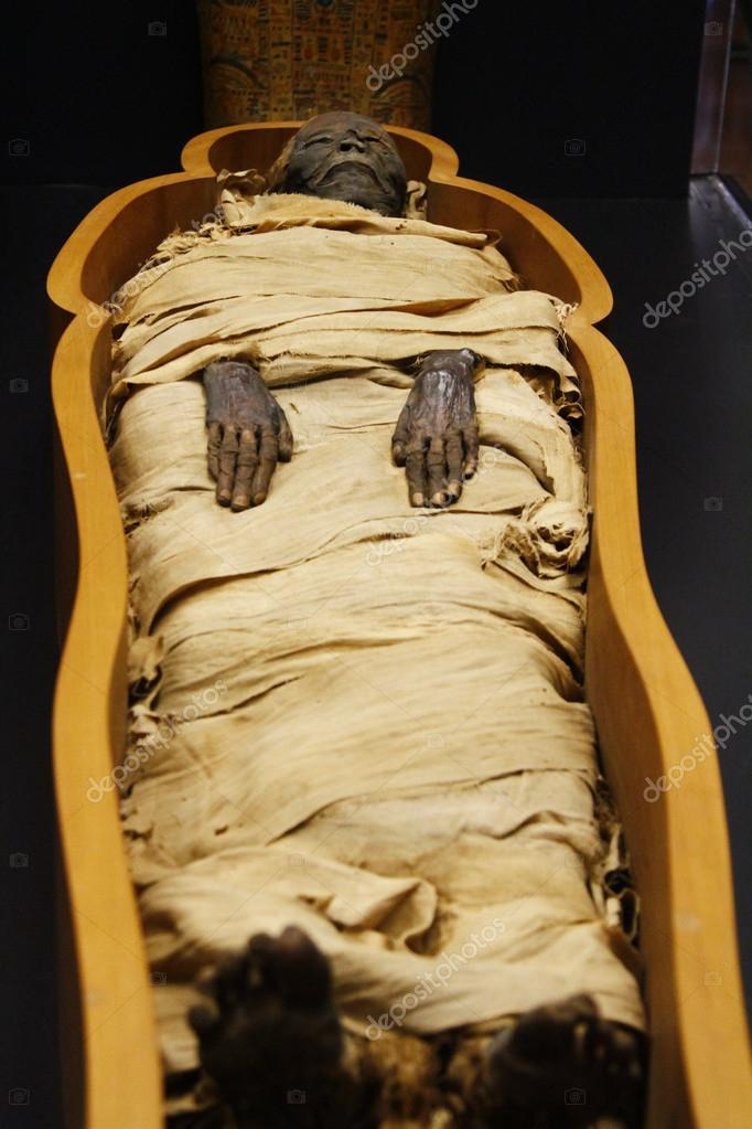 Depositphotos 29594293 stock photo open casket of egyptian mummy
