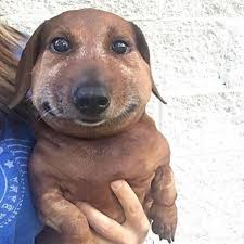 1000083635