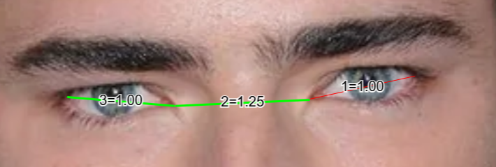 1780838829736