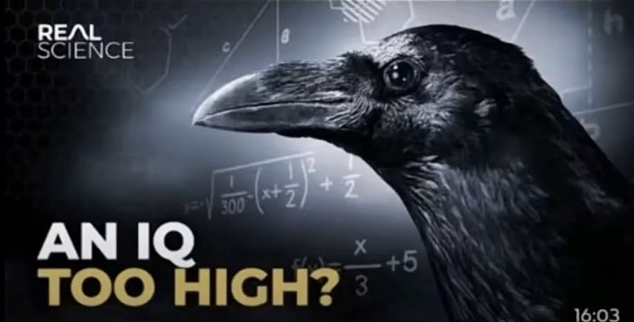 1780866495950