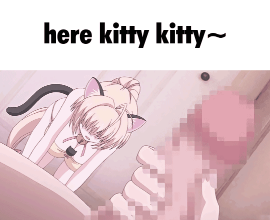 1769289914024