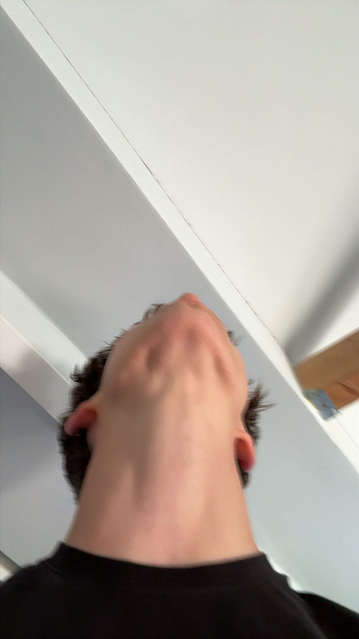 IMG 2319