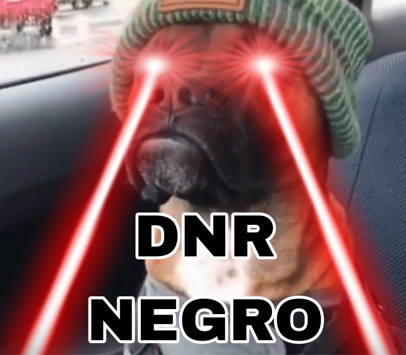 1000042113