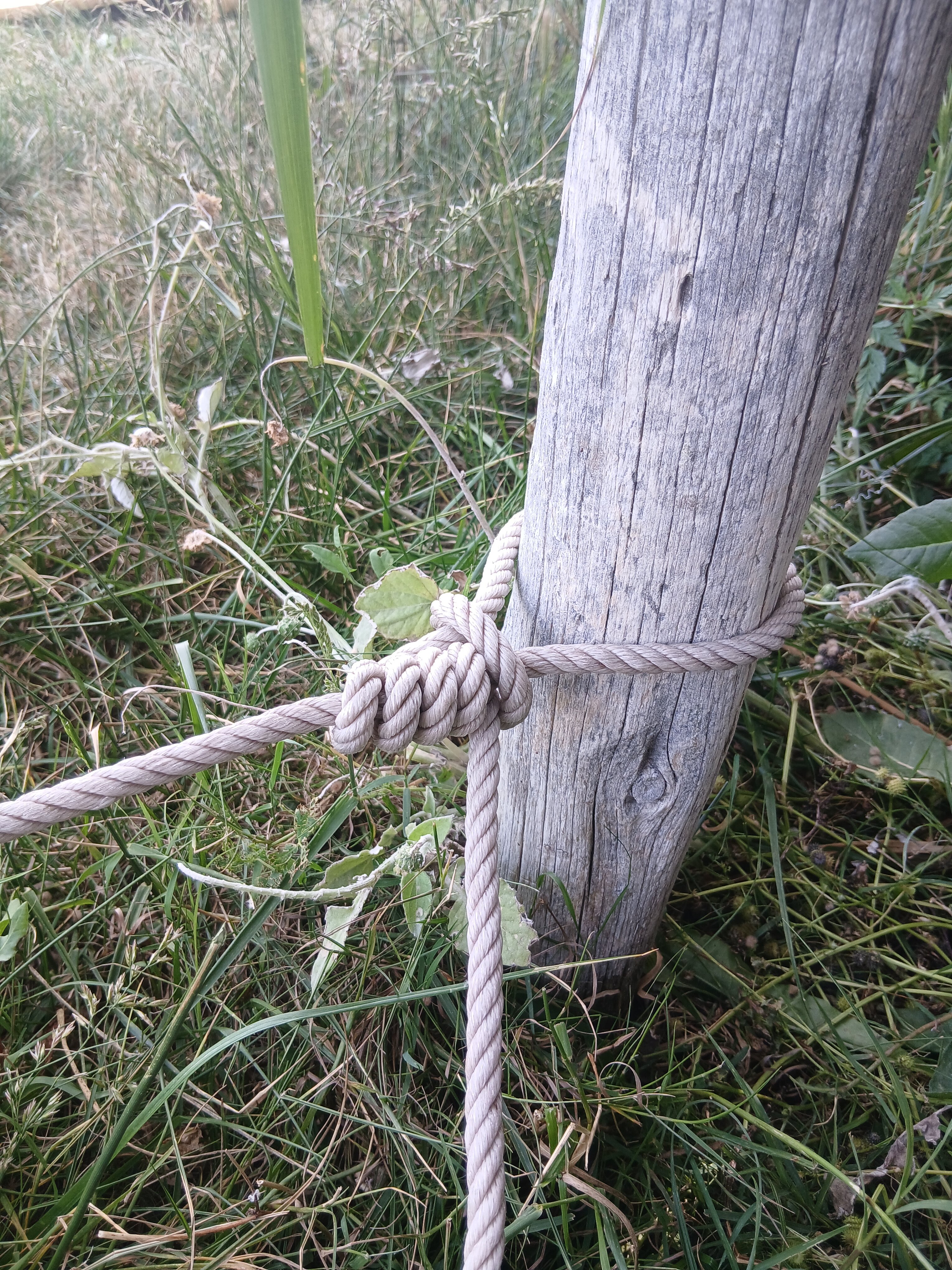 20260507 174357