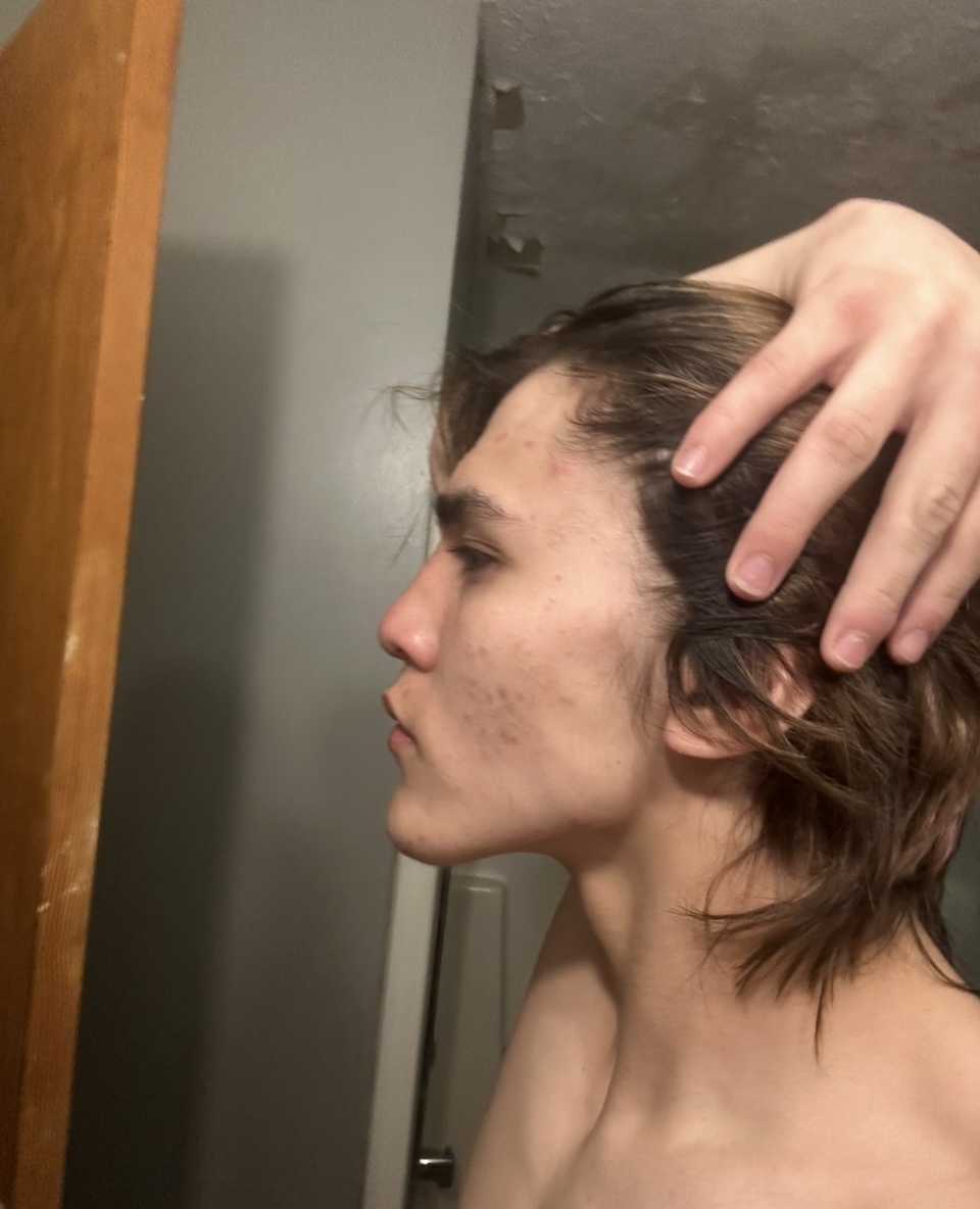 IMG 1291