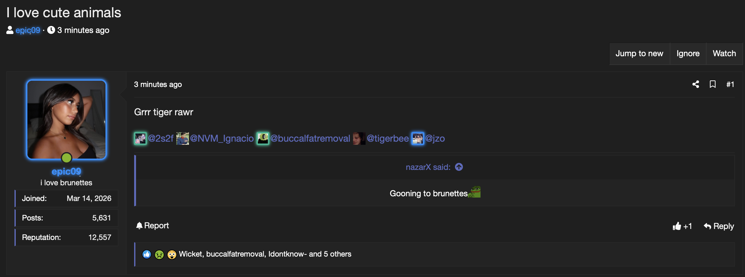 Screenshot 2026 06 10 at 24315PM