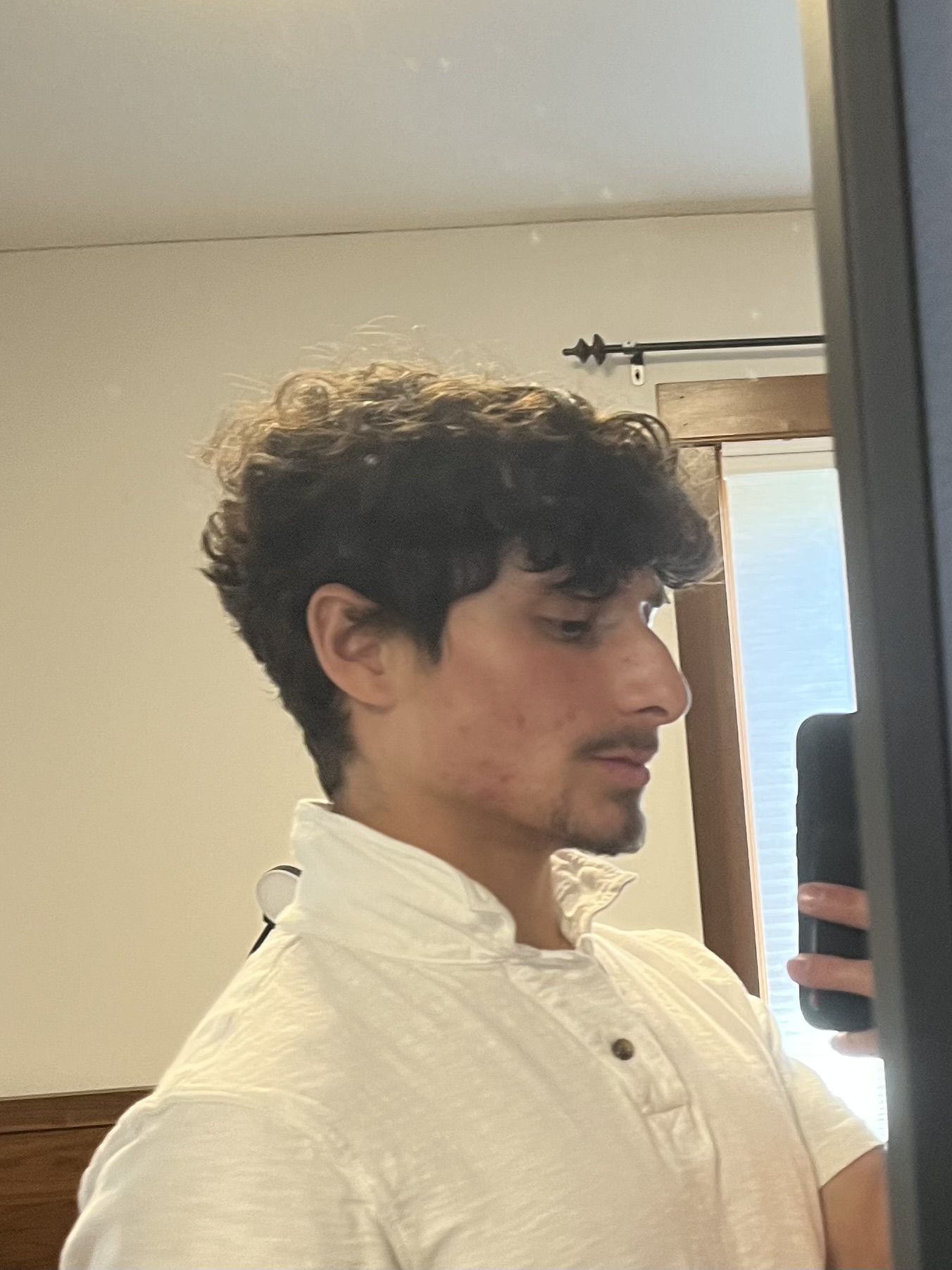 IMG 1921