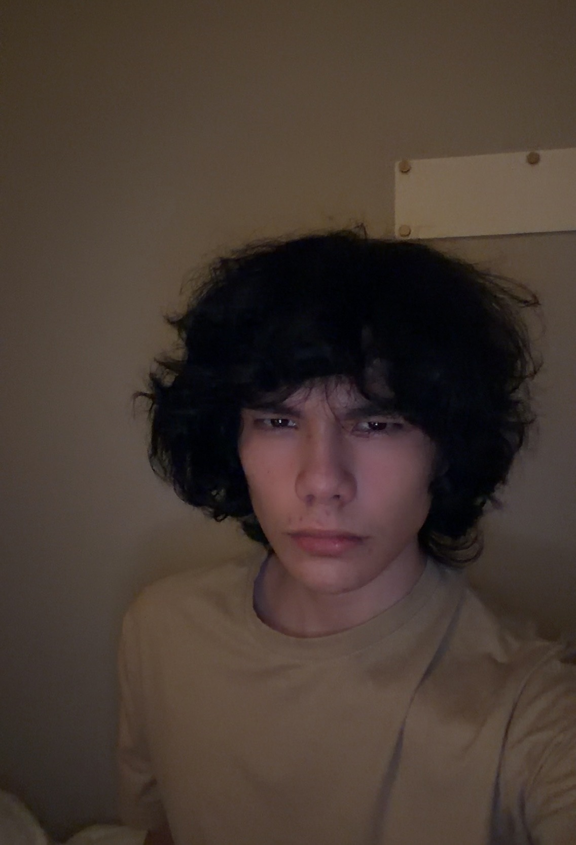 IMG 0717