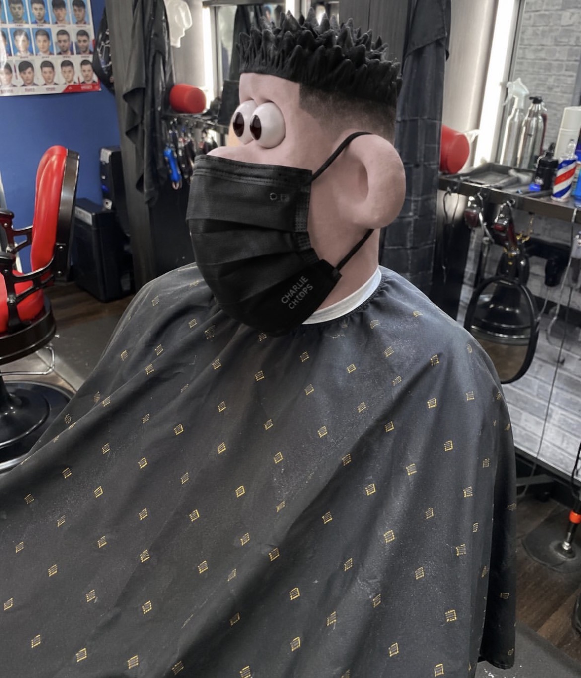 IMG 3550