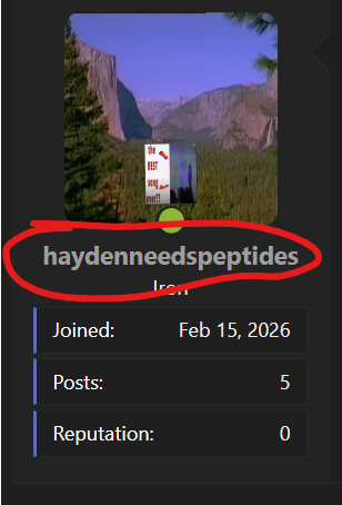 1781160132498