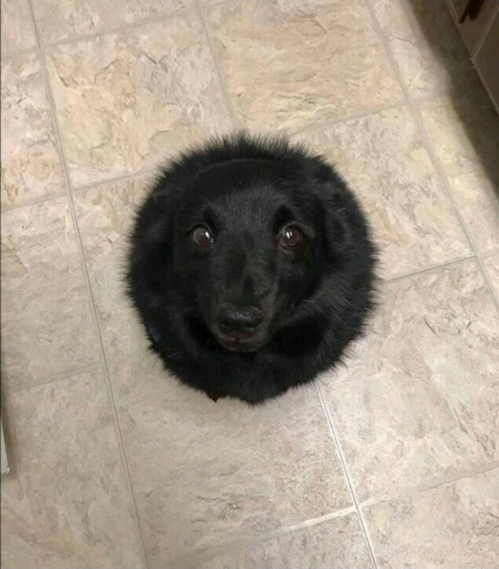 1000042537