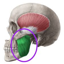 A Key to Alleviating Neck Pain