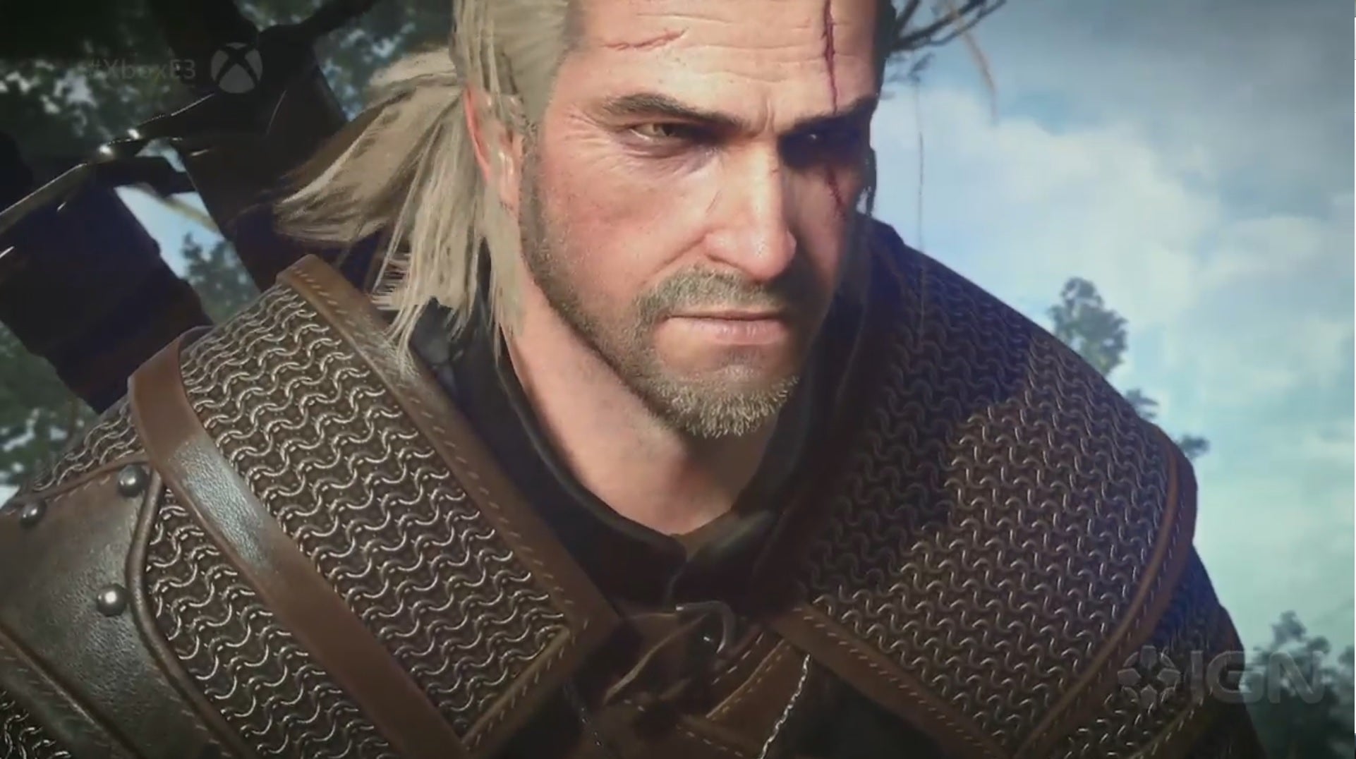 Witcher1e3
