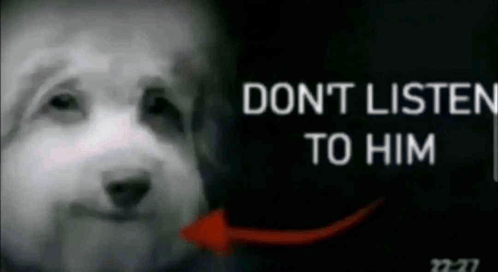 1781278543937