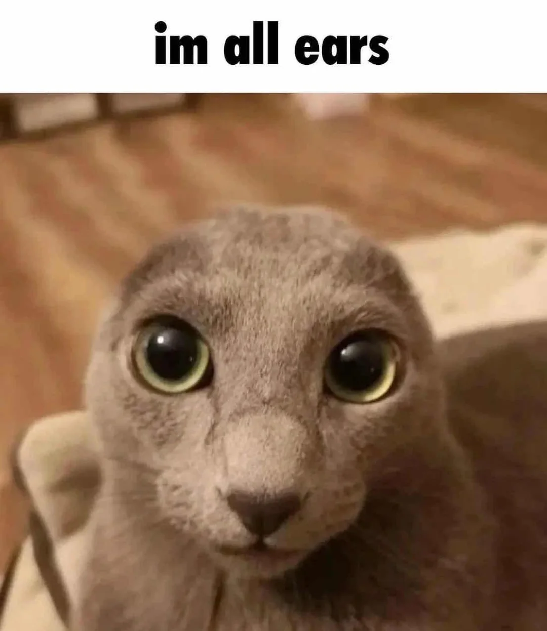 1000043058