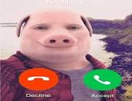 1781366676751