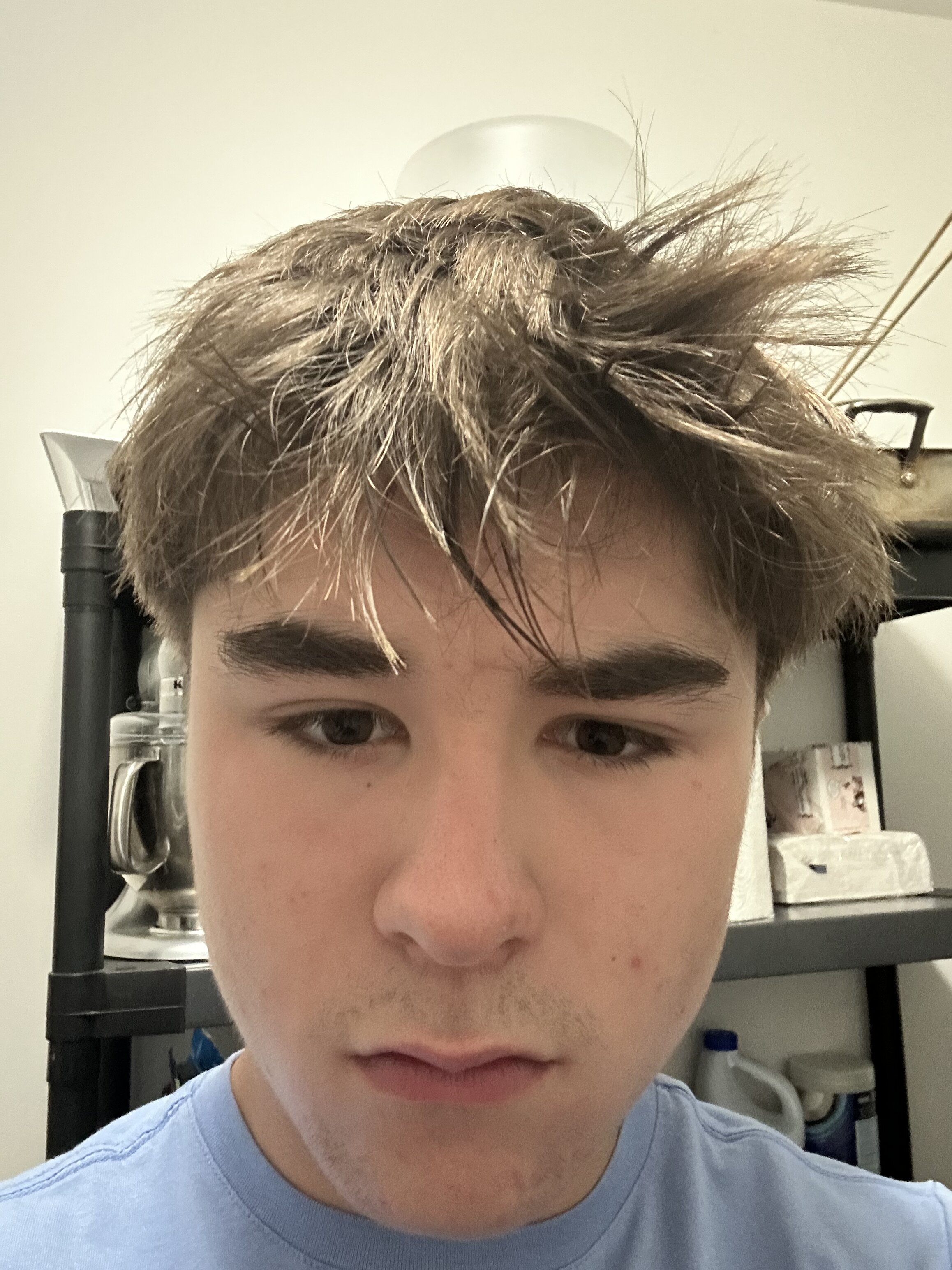 IMG 0735