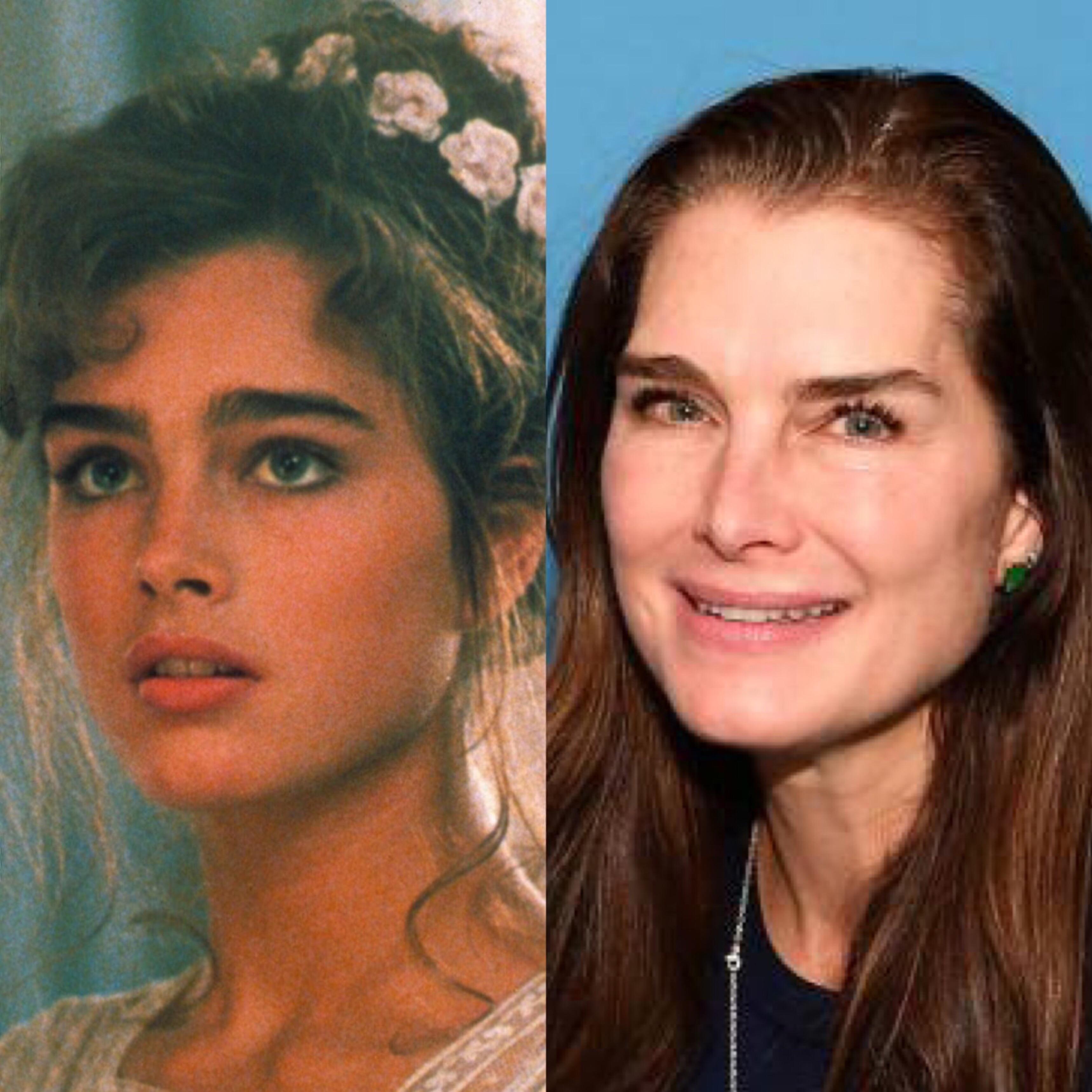 How did brooke shields age so horribly i refuse to believe v0 xxx1n68gag3a1