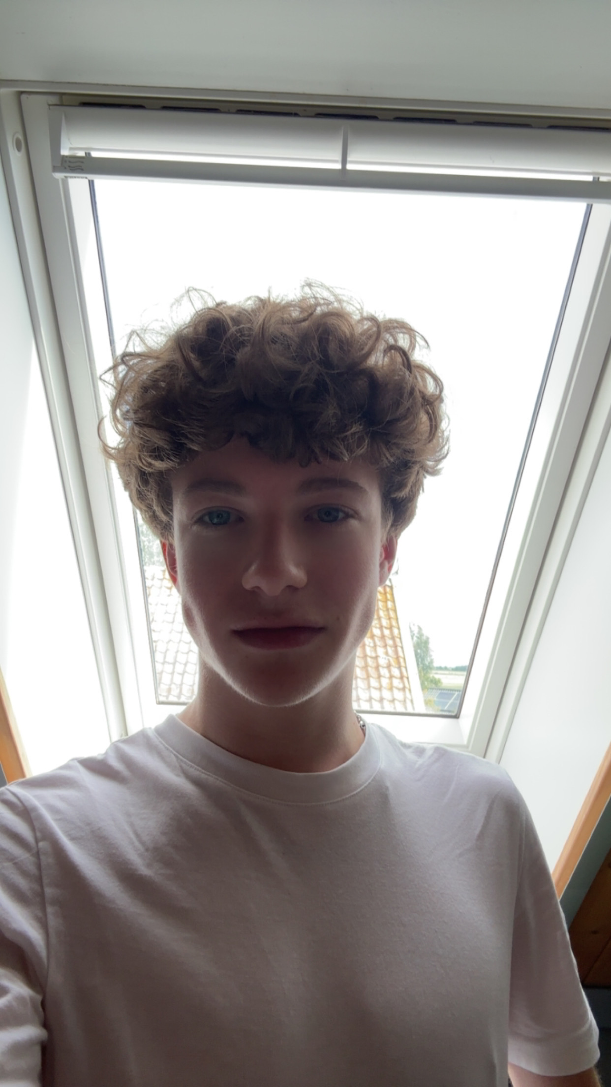 IMG 2960