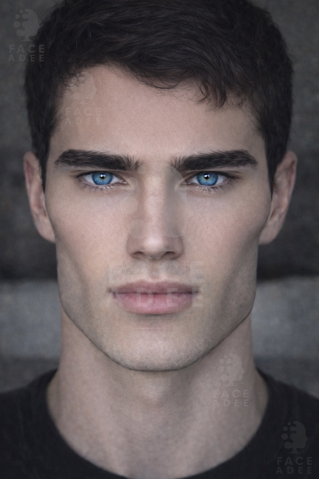 Perfectface