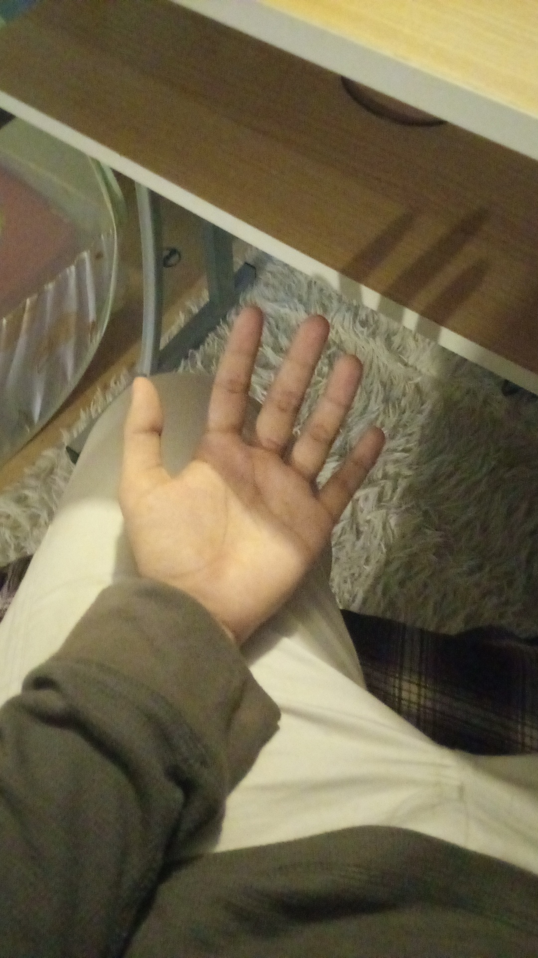 1000011564