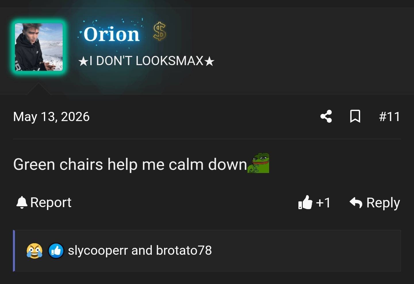 1000066341