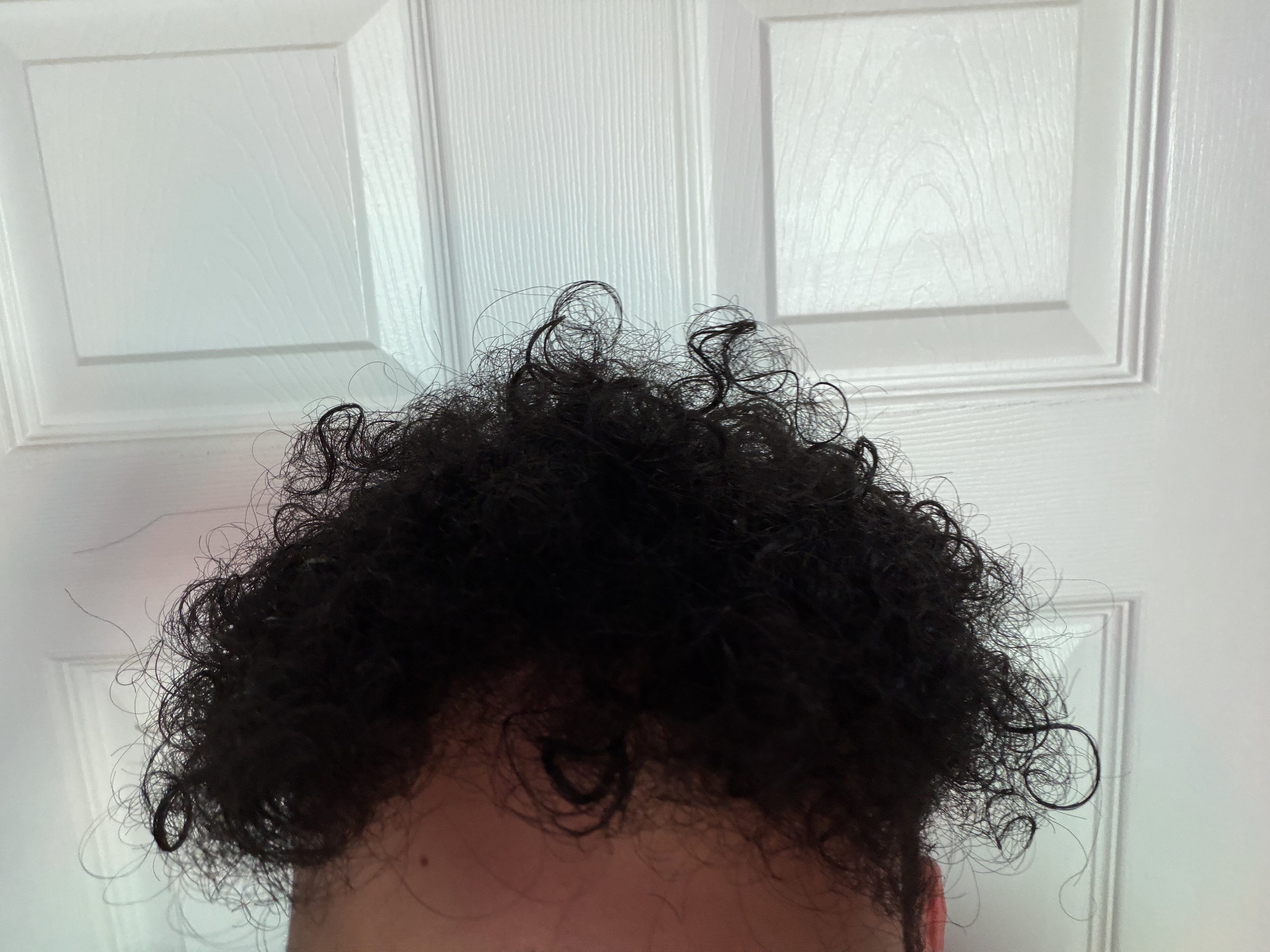 IMG 0335