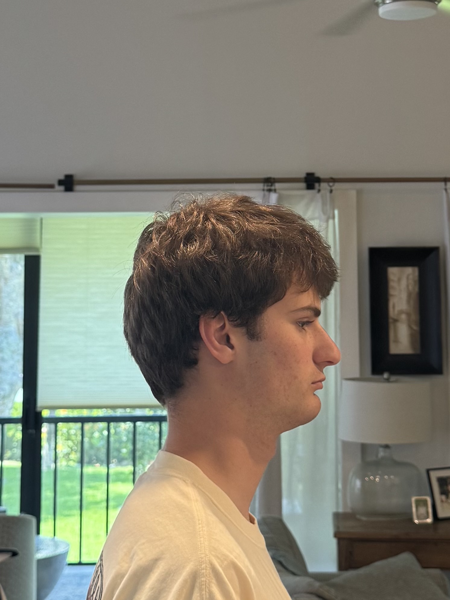 IMG 1213