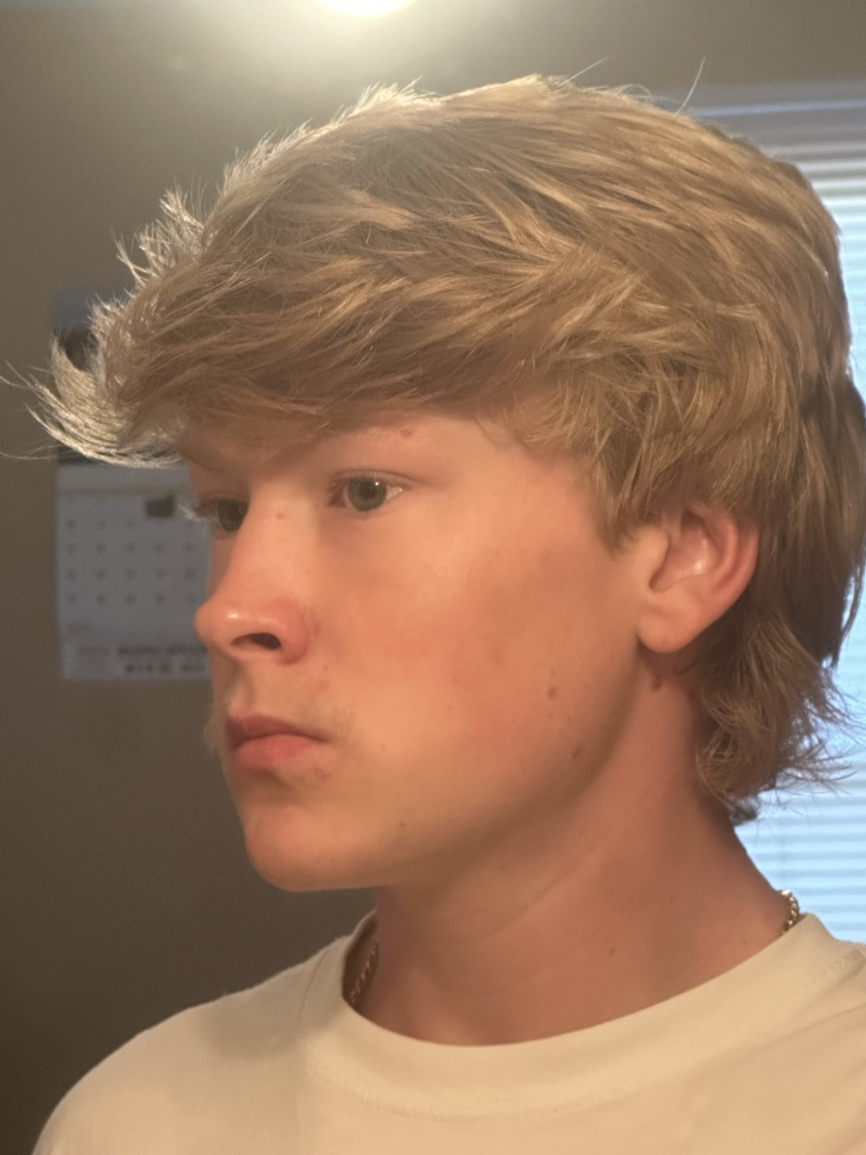 IMG 3950
