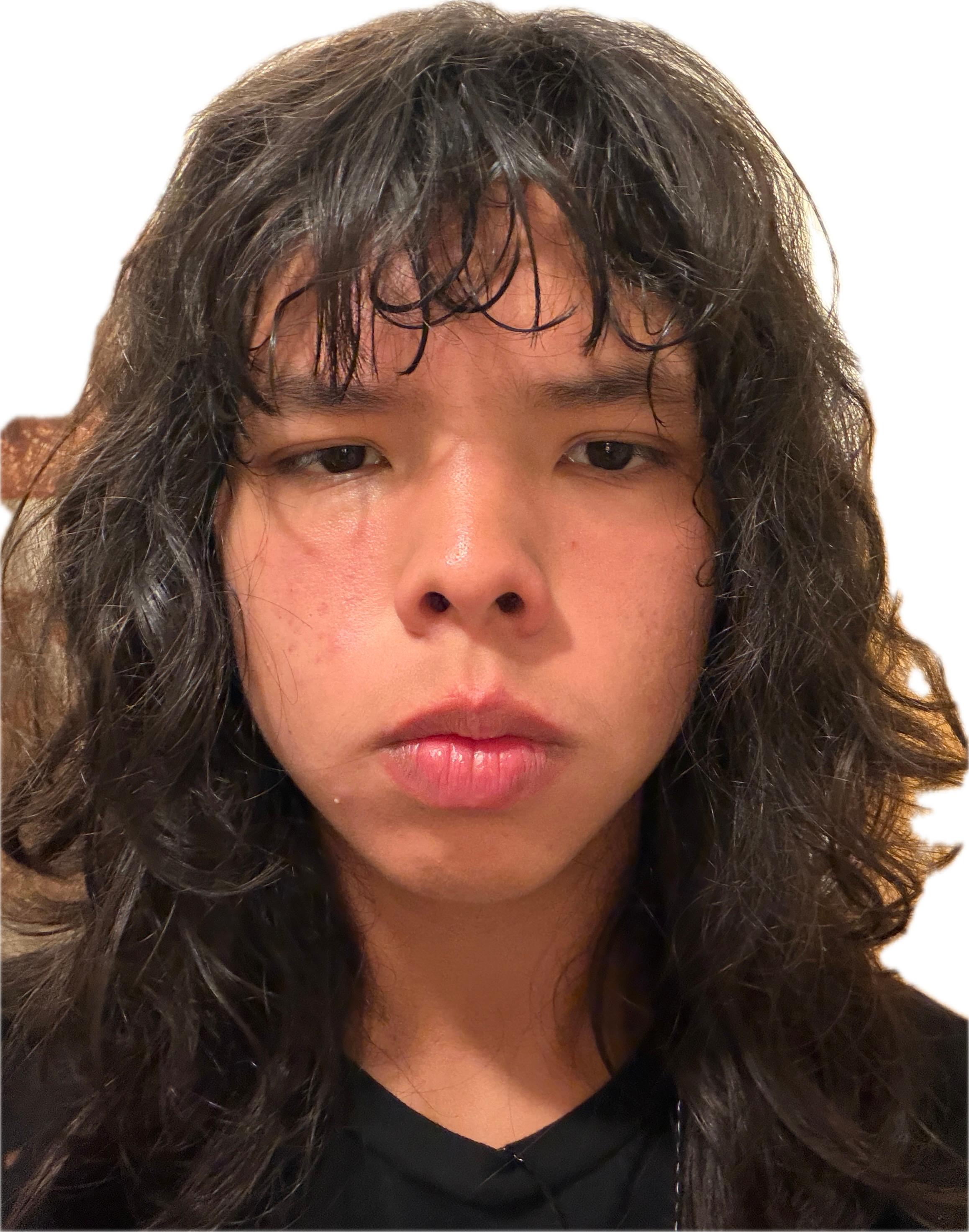 IMG 1521