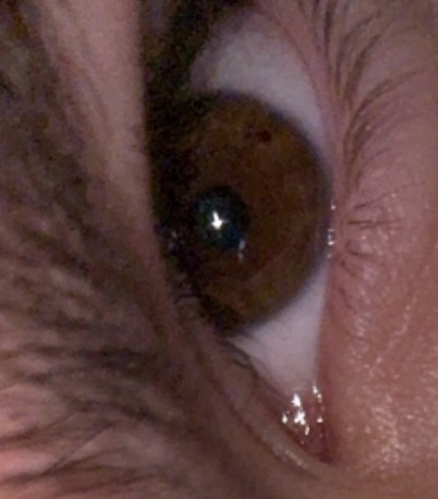 IMG 3656