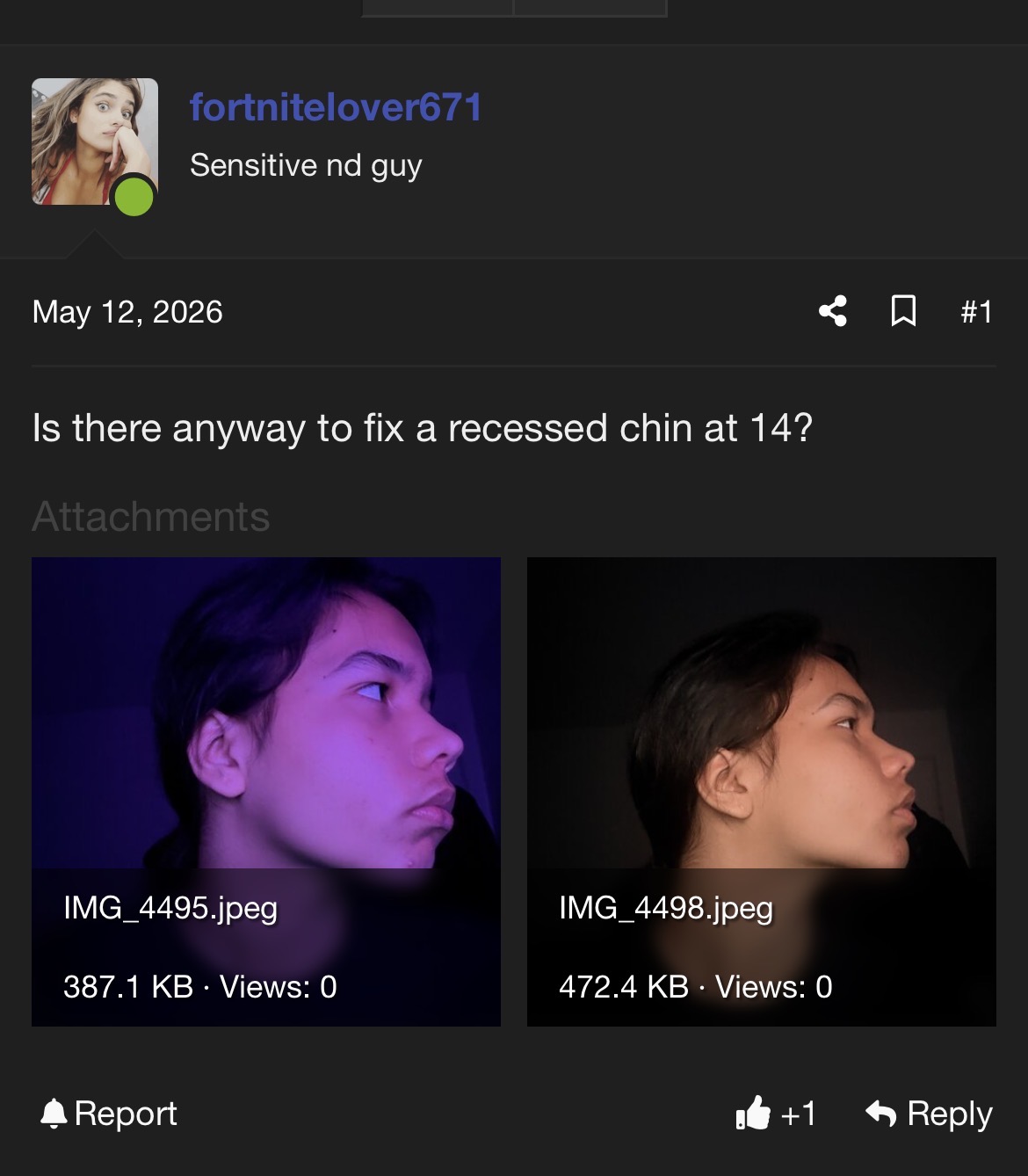 IMG 2994