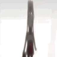 1781595806910
