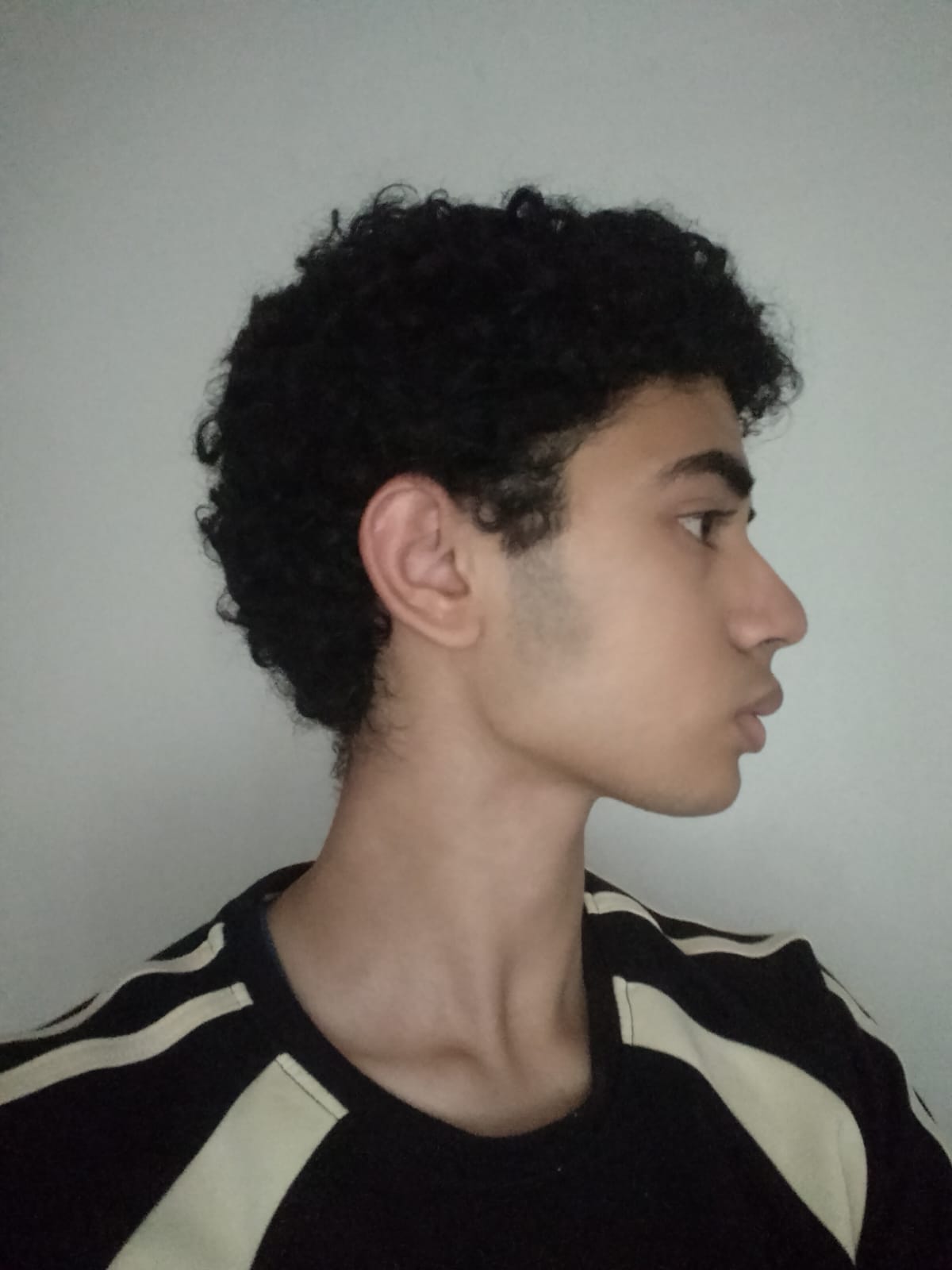 1781622529055
