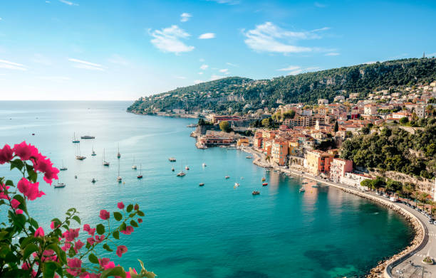 6450917 istockphoto 1487661196 612x612