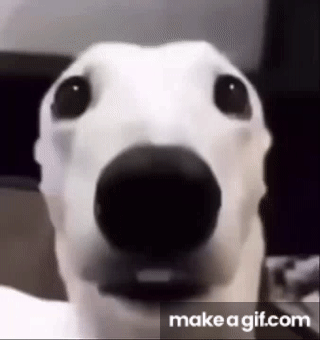 1781651508351