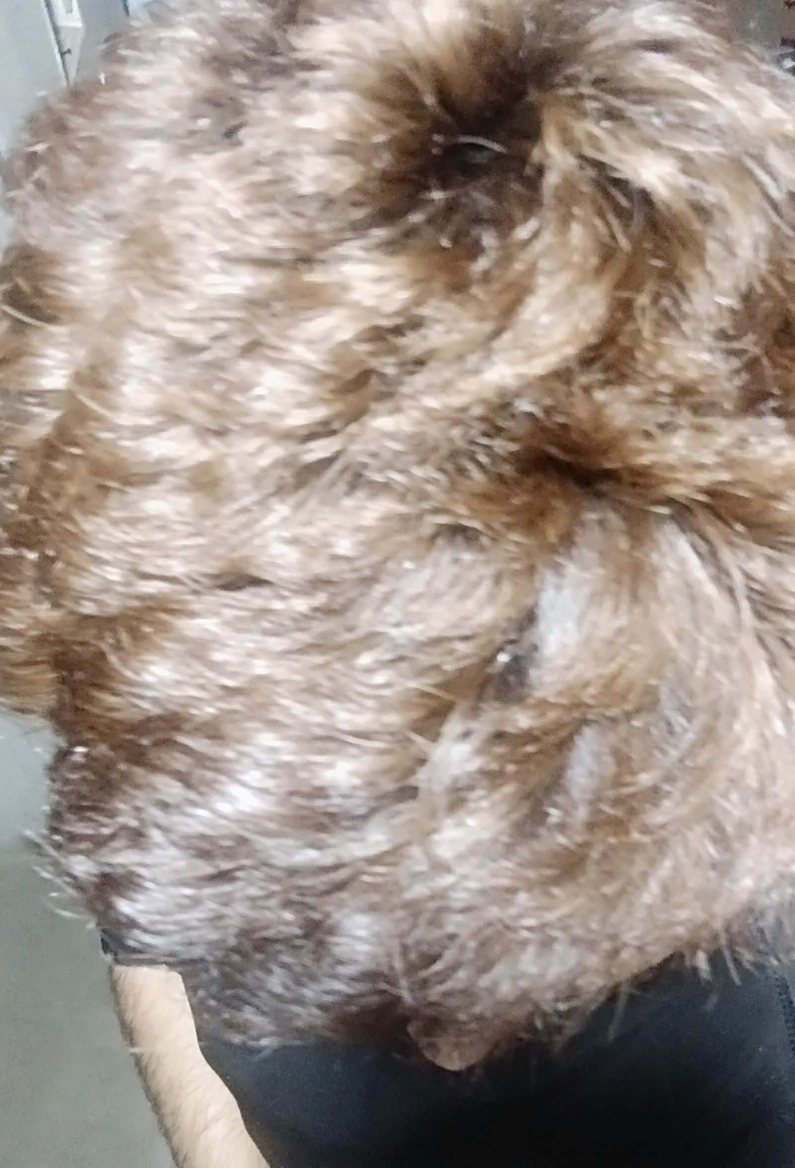 IMG 20260606 230010