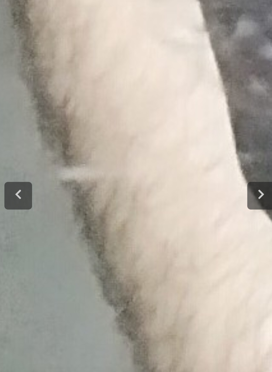 1000000886