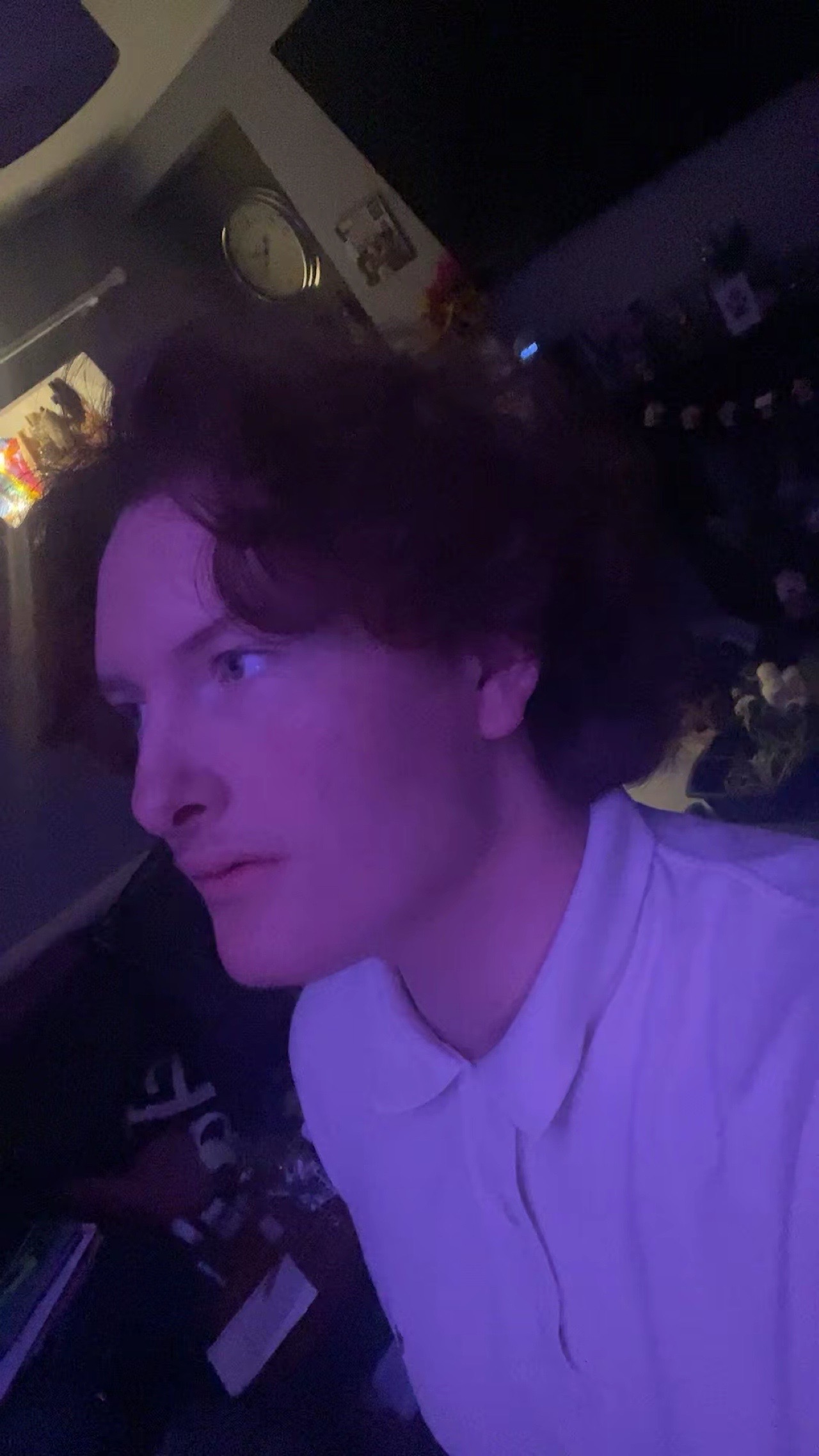 IMG 1954